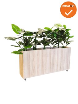 Verrijdbare plantenbak - 160x80cm - Scandinavisch eiken