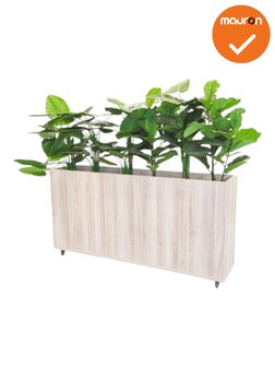 Verrijdbare plantenbak - 160x80cm - Scandinavisch eiken